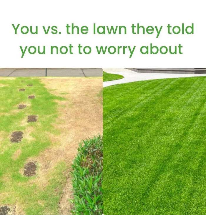 after  lawn before after comparison