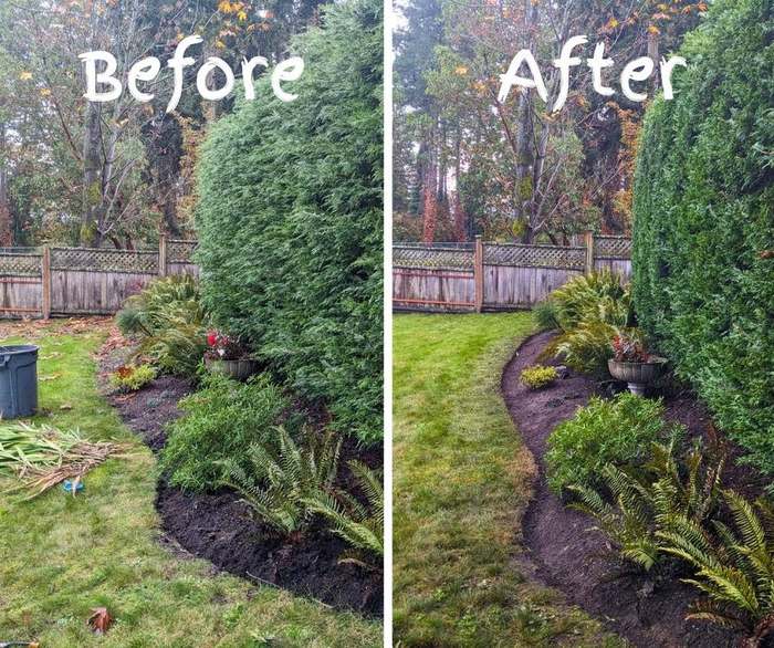 after regent before after