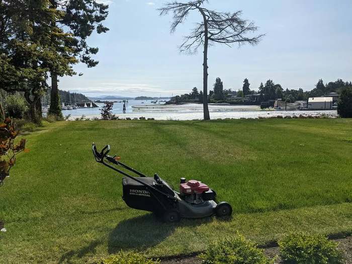 mowing  mower on estate lawn waterfront