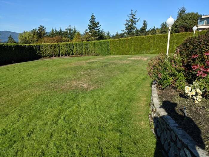 mowing  open lawn stone wall bed