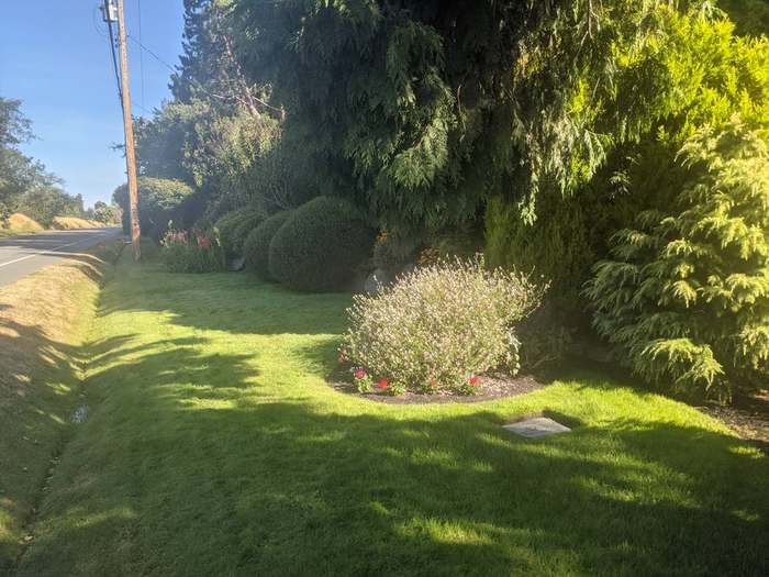 waterfront  estate trees and lawn