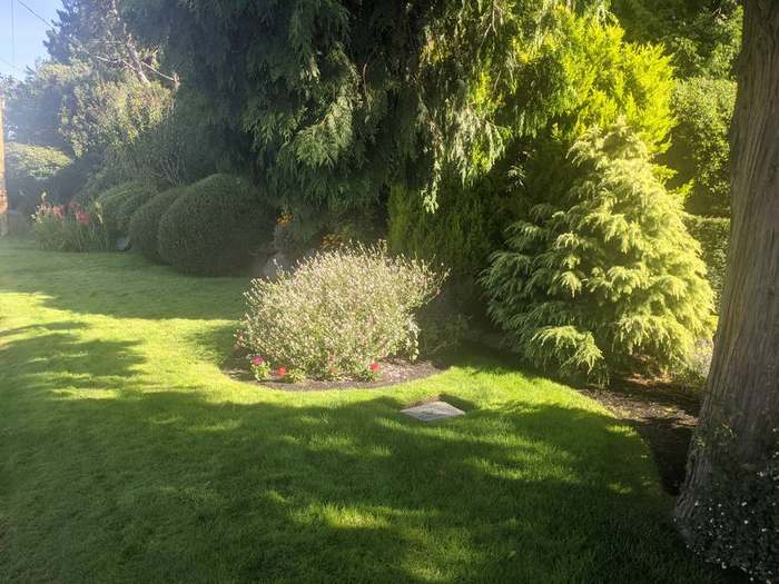 waterfront  large estate property trees