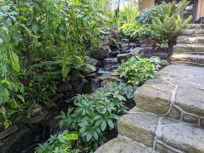 beds  stone wall garden bed planted