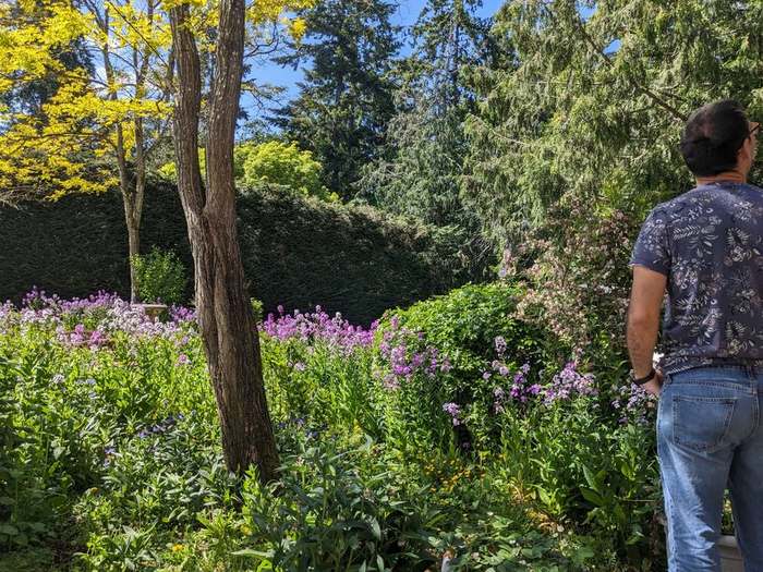 beds  garden cleanup with worker