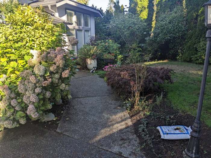 beds  garden bed hydrangea patio