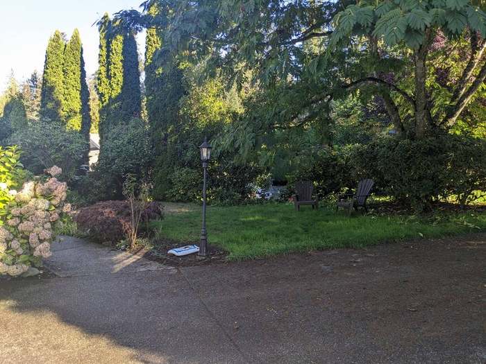 beds  wide garden bed area