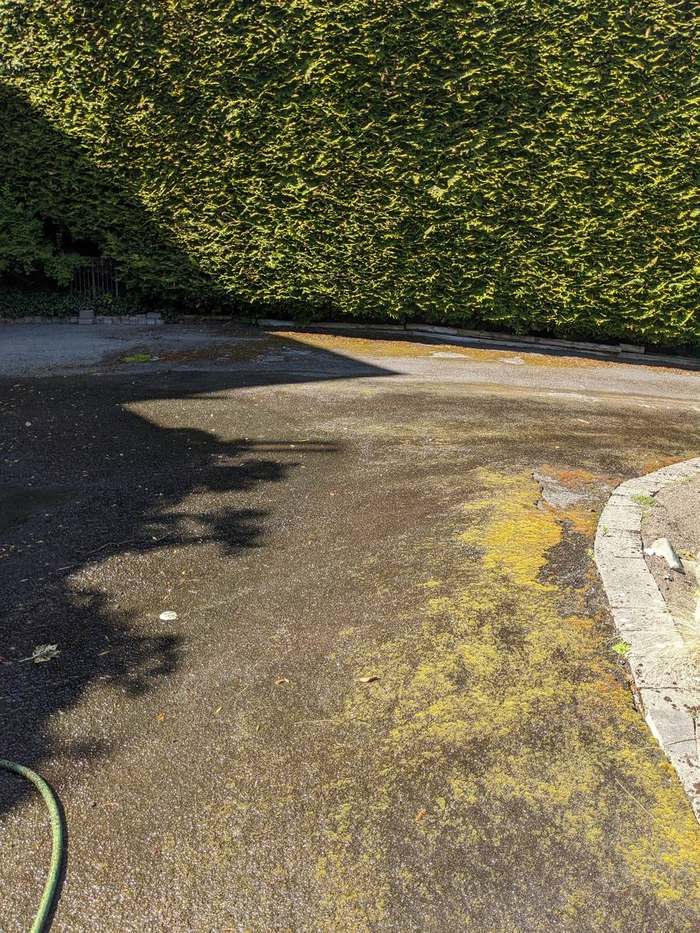cleanup  driveway with fallen leaves