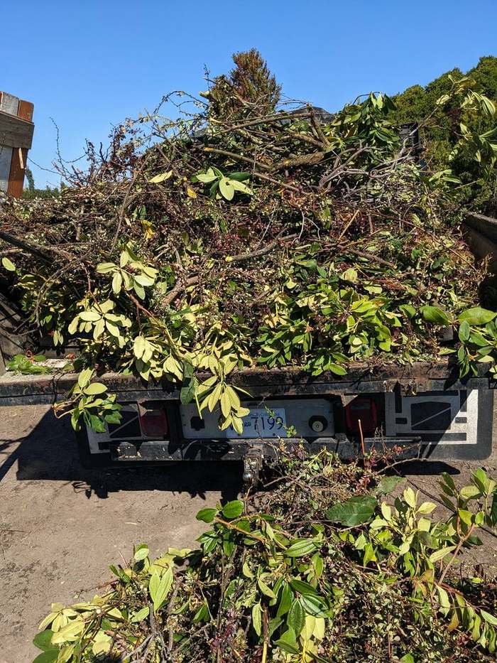 waste  truck loaded with yard debris