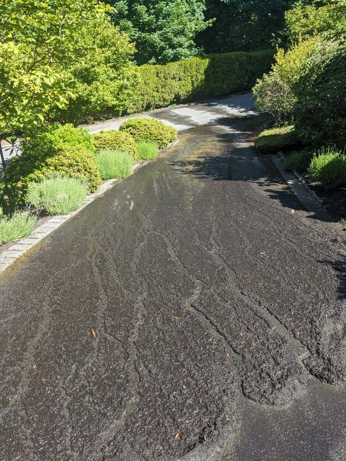 cleanup  driveway before wash