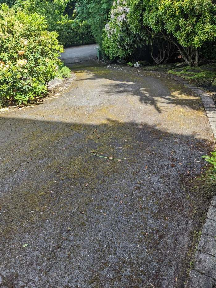 cleanup  wet driveway during wash