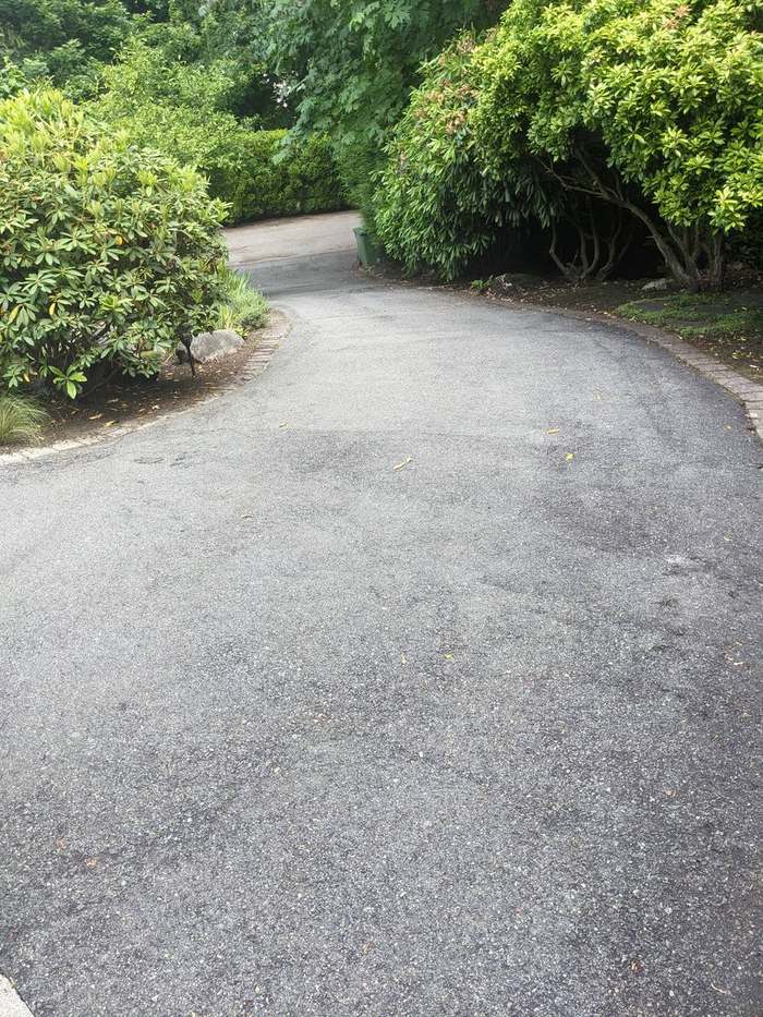 cleanup  clean driveway result