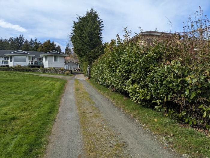 Riding mower cutting a large estate lawn