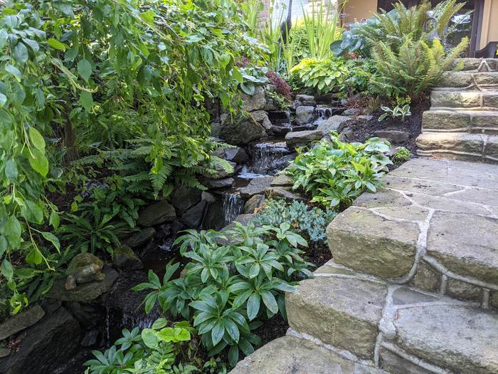 Stone-walled garden bed with planted flowers